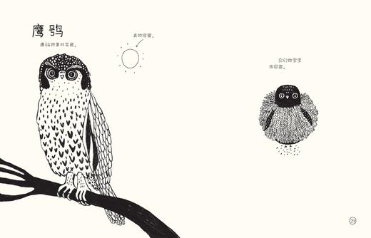 我可以一直待在你身边吗 商品图2