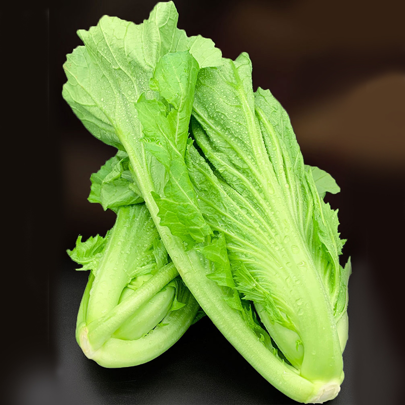 吕田大芥菜农家新鲜蔬菜 顺丰包邮