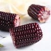 【绿塔黑玉米】5根/10根/20根，富含花青素，绿色食品 商品缩略图1