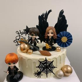 狮子家-哈利波特主题公仔 生日蛋糕 纪念日蛋糕 聚会 仪式感必备