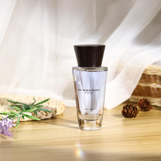 巴宝莉 情缘男士 Burberry Touch for Men 分装 商品图0