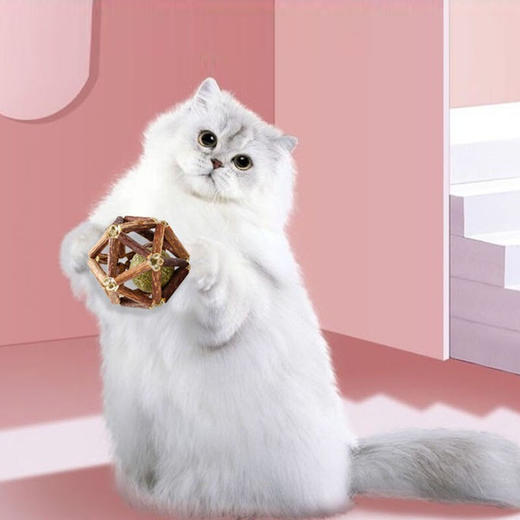 猫薄荷球木天蓼磨牙棒玲珑球猫咪玩具 商品图2