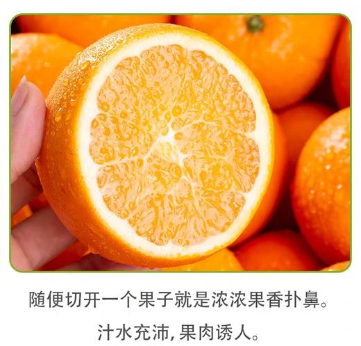 新鲜现摘赣南脐橙10斤装当季水果整箱包邮 商品图2