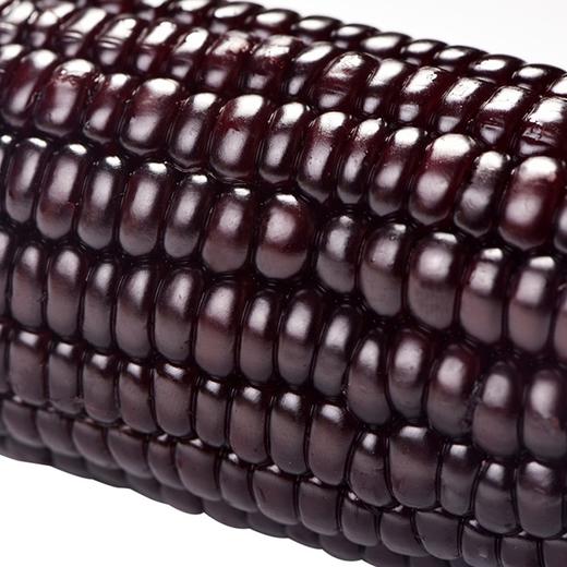 【绿塔黑玉米】5根/10根/20根，富含花青素，绿色食品 商品图2