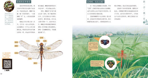 诗词中有科学全6册72首古诗+18个科学视频+210个科学知识点 商品图2