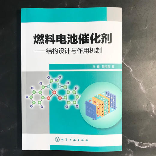 燃料电池催化剂——结构设计与作用机制 商品图1