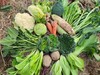 酵素蔬菜组合包 | 自然农耕、六不用种植，时令蔬菜包，各类绿叶蔬菜，小黄姜、萝卜等|| 健源 商品缩略图0