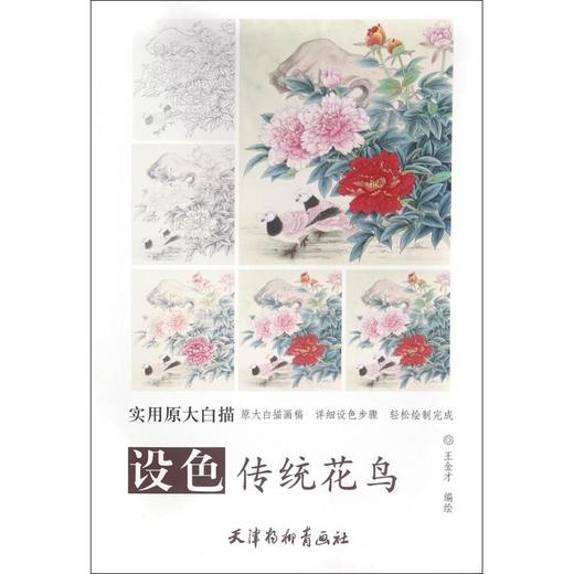 设色传统花鸟 商品图0