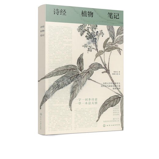 诗经植物笔记  韩育生 诗意解析 源流考证 植物性状读诗感悟书籍 诗经植物笔记体读本 植物之美 中国古典文化读物赏析 商品图5