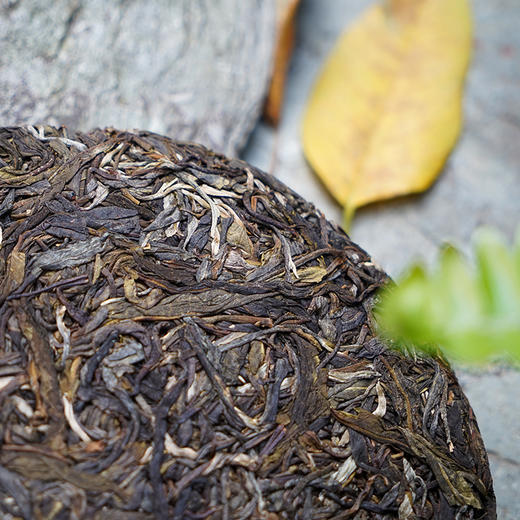 【小荒田】 临沧茶“新贵”，当地重金打造的下一个冰岛”！ 商品图6