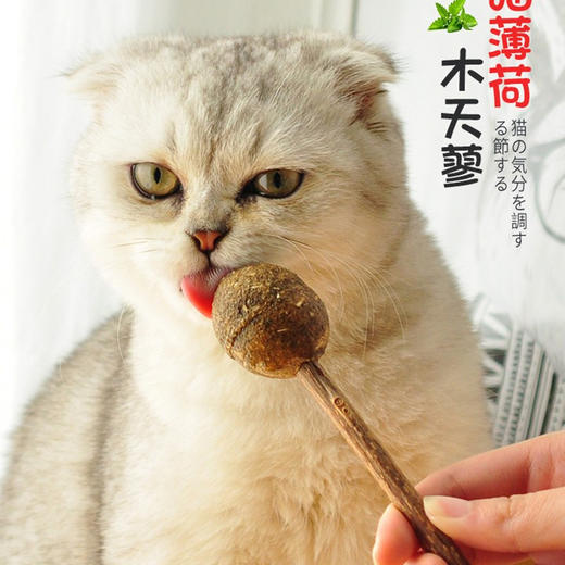 猫薄荷球棒棒糖零食玩具5g 商品图1