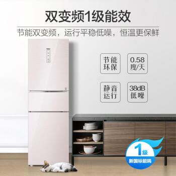 海尔（Haier）冰箱BCD-221WDECU1 商品图2