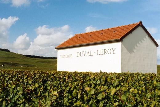 Duval-Leroy Clos des Bouveries  Premier Cru Extra-Brut 2007 杜洛儿布维利一级村特干年份香槟 2007 商品图6