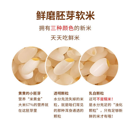 辅食、多美粒胚芽软米2kg 商品图1