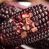【绿塔黑玉米】5根/10根/20根，富含花青素，绿色食品 商品缩略图3
