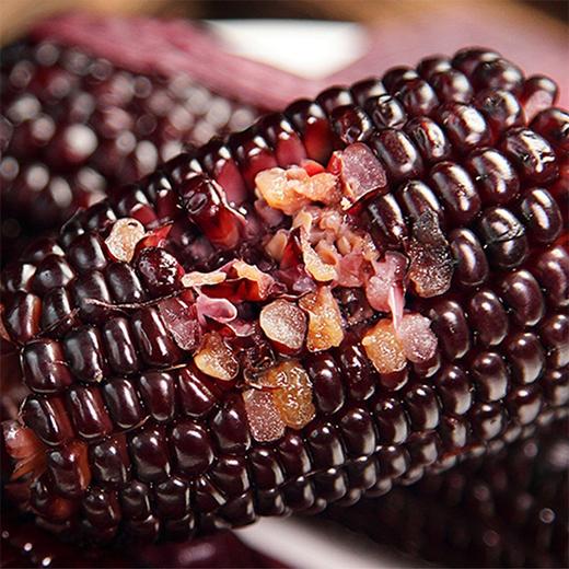 【绿塔黑玉米】5根/10根/20根，富含花青素，绿色食品 商品图3