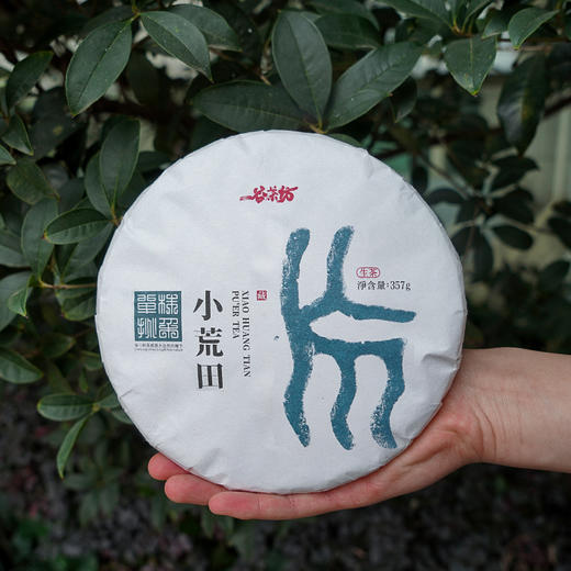 【小荒田】 临沧茶“新贵”，当地重金打造的下一个冰岛”！ 商品图5