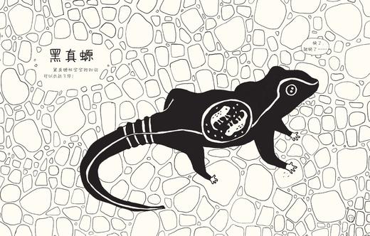 我可以一直待在你身边吗 商品图3