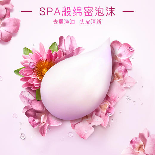 海飞丝恬雅清新香氛洗发水300ml 商品图2