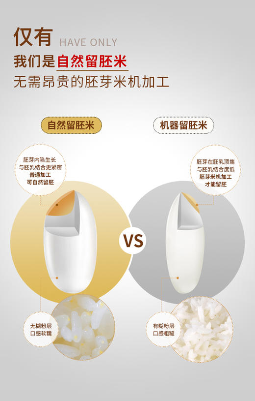 辅食、多美粒胚芽软米2kg 商品图2