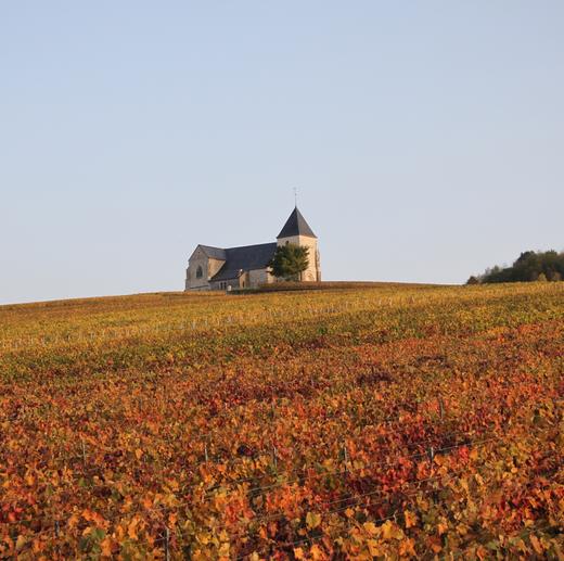 Duval-Leroy Clos des Bouveries  Premier Cru Extra-Brut 2007 杜洛儿布维利一级村特干年份香槟 2007 商品图5