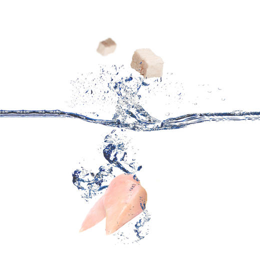 麦富迪猫零食鲜肉冻干成幼猫咪宠物零食鸡肉味54g 商品图2