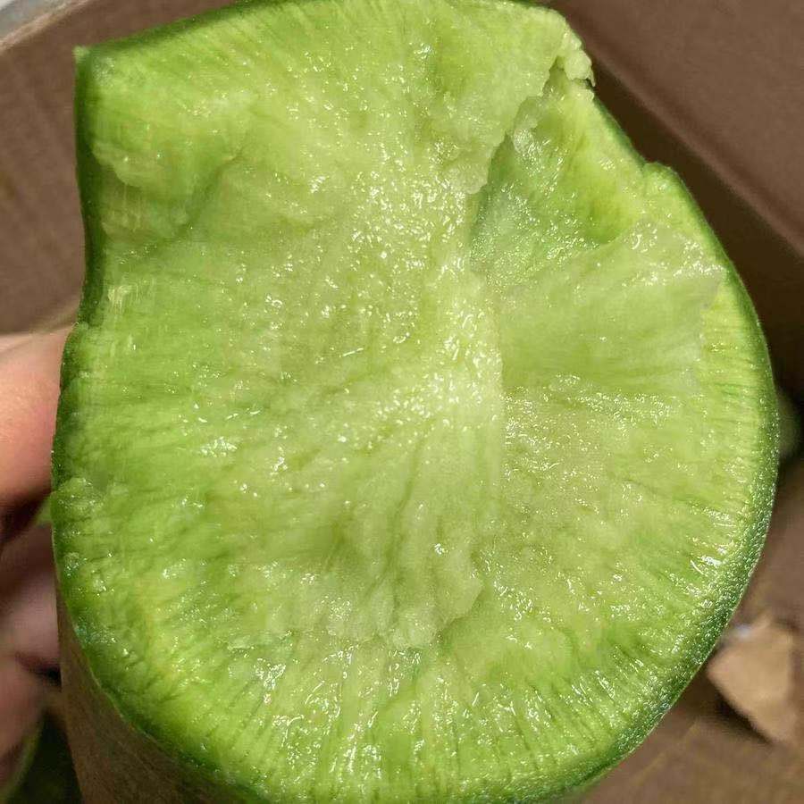 产地直发-天津沙窝萝卜 5斤家庭装/礼盒装 清脆 爽口 72小时发货 京东快递～