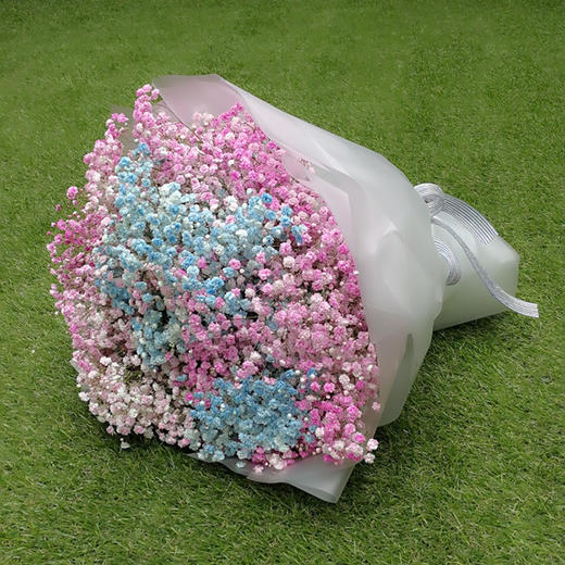 满天星 商品图0