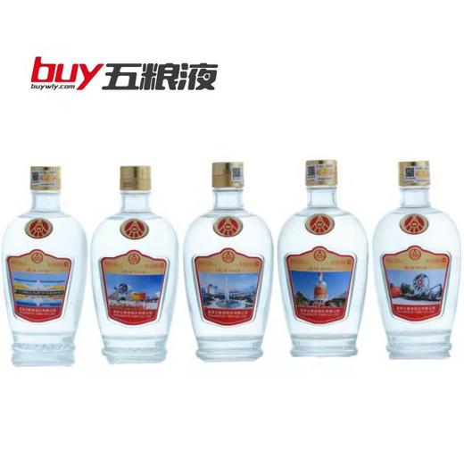 （整箱）五粮之旅·景区纪念（光瓶） 个人定制版 50度 500mL*6瓶 商品图1