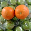 赣南脐橙 商品缩略图0