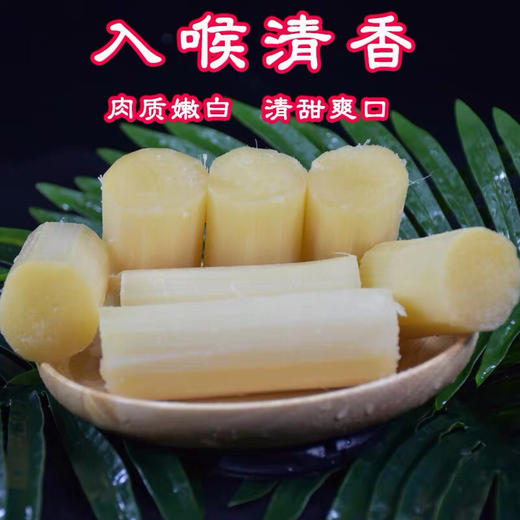 【玻璃脆白玉甘蔗】4.5斤/箱,补血珍品,肉质嫩白,清甜爽口 商品图1