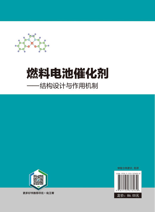 燃料电池催化剂——结构设计与作用机制 商品图4