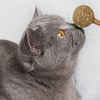 猫薄荷球棒棒糖零食玩具5g 商品缩略图3