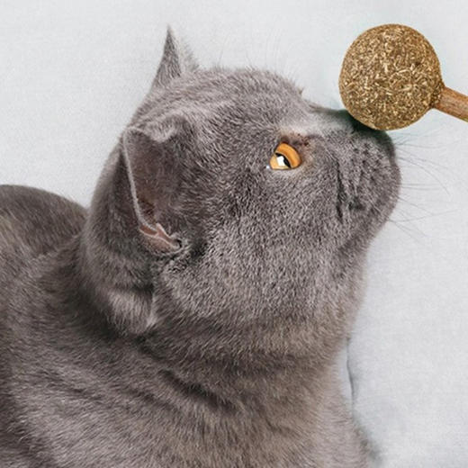 猫薄荷球棒棒糖零食玩具5g 商品图3