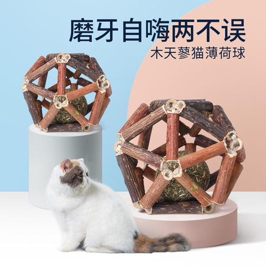 猫薄荷球木天蓼磨牙棒玲珑球猫咪玩具 商品图0