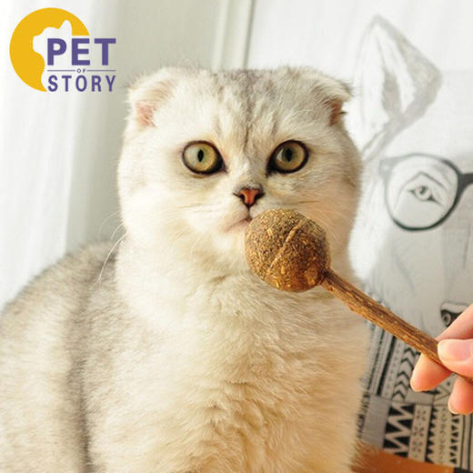 猫薄荷球棒棒糖零食玩具5g 商品图2