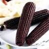 【绿塔黑玉米】5根/10根/20根，富含花青素，绿色食品 商品缩略图0