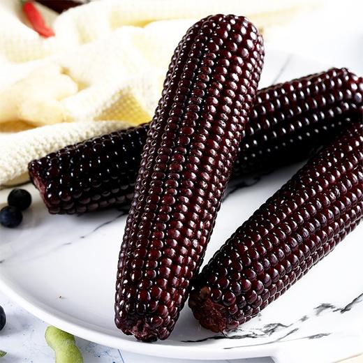 【绿塔黑玉米】5根/10根/20根，富含花青素，绿色食品 商品图0