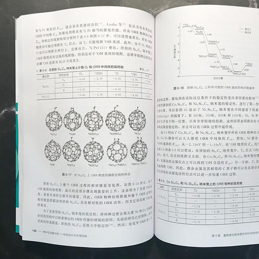 燃料电池催化剂——结构设计与作用机制 商品图3