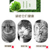 妙爽猫薄荷粉猫咪零食去毛球猫草开胃50ml 商品缩略图1