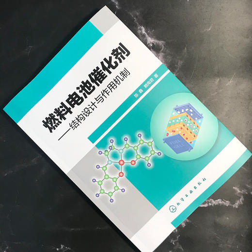 燃料电池催化剂——结构设计与作用机制 商品图2