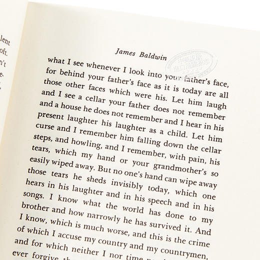 【中商原版】詹姆斯·鲍德温：下一次将是烈火 英文原版 The Fire Next Time 美国文学 James Baldwin 商品图3