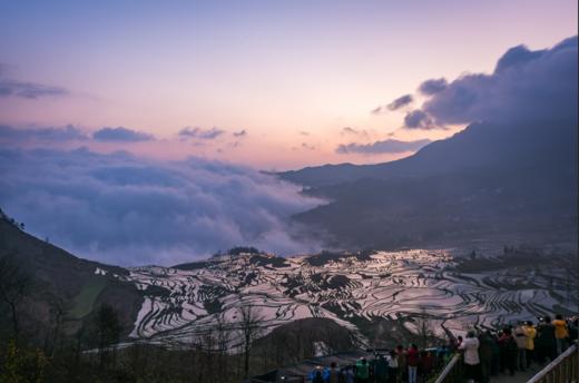 云南油菜花海A线——建水•元阳梯田•东川红土地•碧色寨•城子古村•罗平油菜花海9天 商品图5