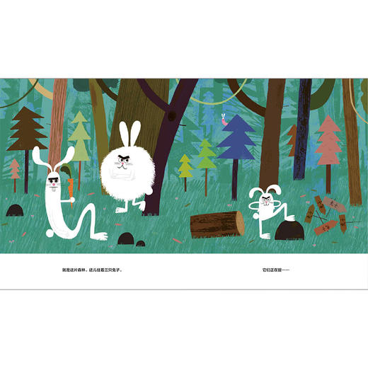 魔法象   这里没有兔子  罗伯·哈吉森/著·绘    情景喜剧  创意幽默 品格养成 社会自我   适合3-6岁儿童   广西师范大学出版社 商品图4