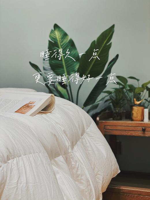 【第14团预订】会员臻享 I 高端冬季95白鹅绒被  定制款品质保障不退不换 商品图2