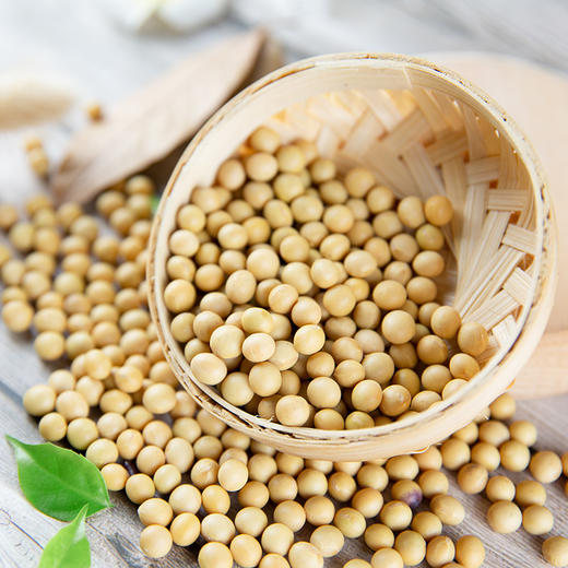 社区团购 自然农法种植 绿毛豆、黄豆  5斤/袋 商品图1