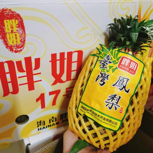 「胖姐17号凤梨」