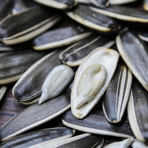 好品质出好瓜子 内蒙古瓜子 参与源头种植  218g/袋 商品图0