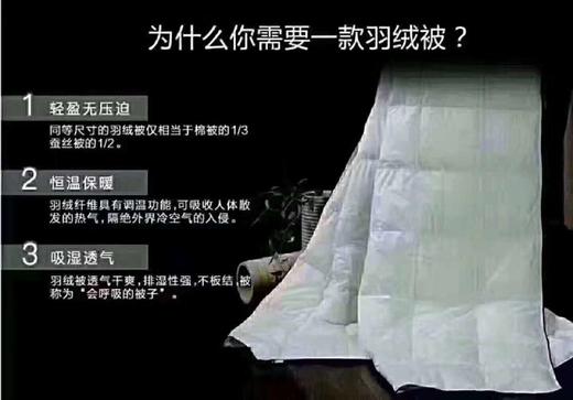 五星级酒店专用  Hotel Grand 白羽绒500线程全棉被套 羽绒被  被子中的爱马仕，睡得安稳 高密度不会跑绒， 商品图3