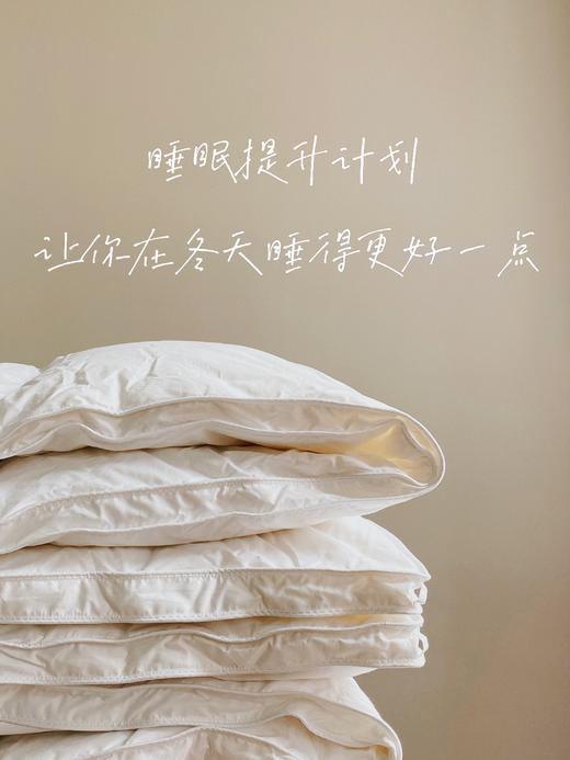 【第14团预订】会员臻享 I 高端冬季95白鹅绒被  定制款品质保障不退不换 商品图5